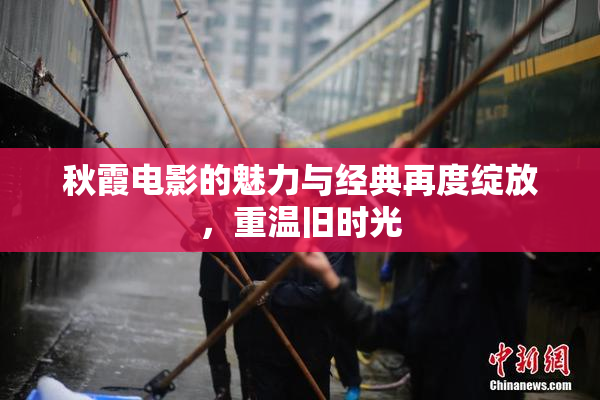 秋霞电影的魅力与经典再度绽放，重温旧时光
