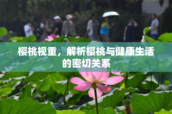 樱桃视重，解析樱桃与健康生活的密切关系