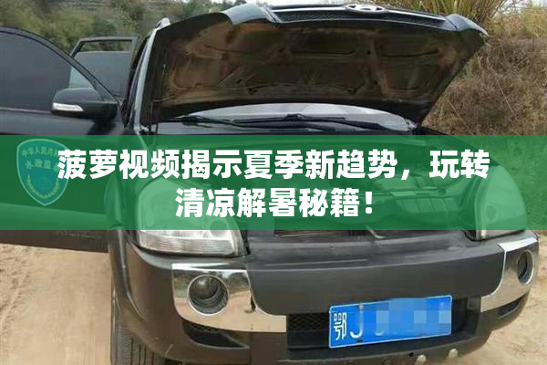 菠萝视频揭示夏季新趋势，玩转清凉解暑秘籍！