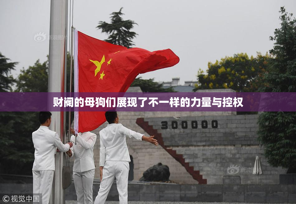 财阀的母狗们展现了不一样的力量与控权
