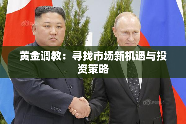 黄金调教：寻找市场新机遇与投资策略