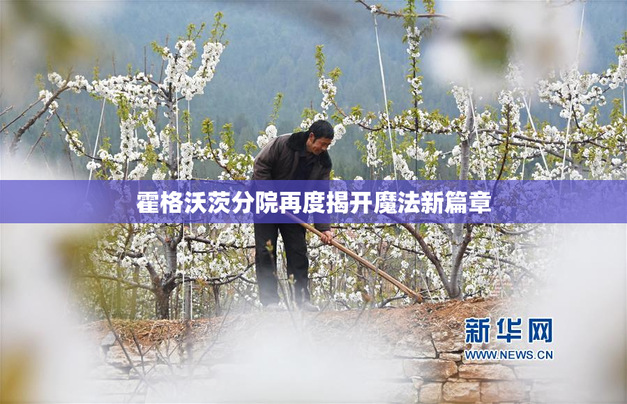 霍格沃茨分院再度揭开魔法新篇章