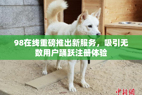 98在线重磅推出新服务，吸引无数用户踊跃注册体验