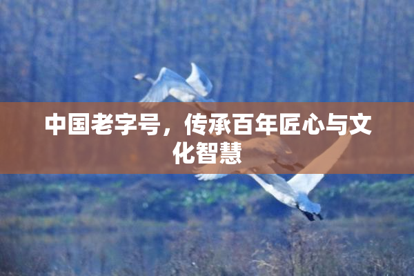 中国老字号，传承百年匠心与文化智慧