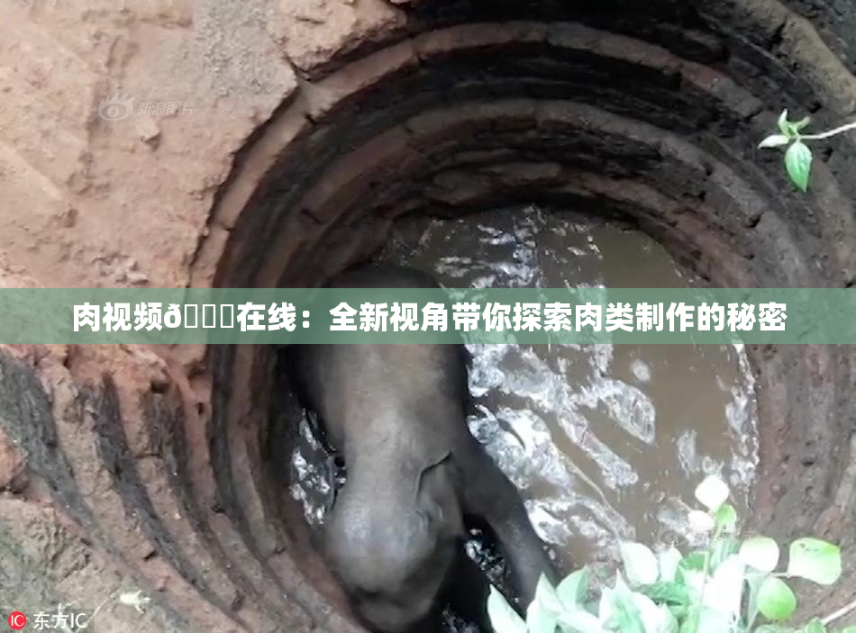 肉视频🔞在线：全新视角带你探索肉类制作的秘密