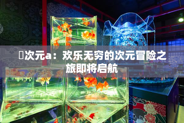 囧次元a：欢乐无穷的次元冒险之旅即将启航