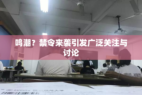 鸣潮？禁令来袭引发广泛关注与讨论