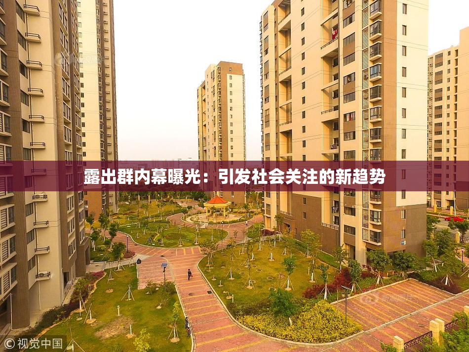 露出群内幕曝光：引发社会关注的新趋势