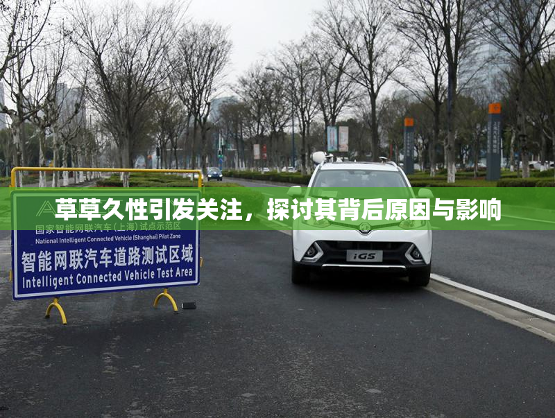 草草久性引发关注，探讨其背后原因与影响