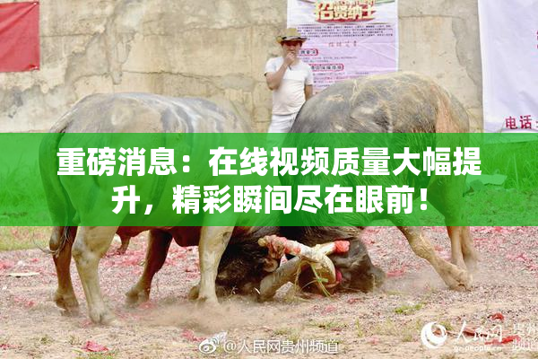重磅消息：在线视频质量大幅提升，精彩瞬间尽在眼前！