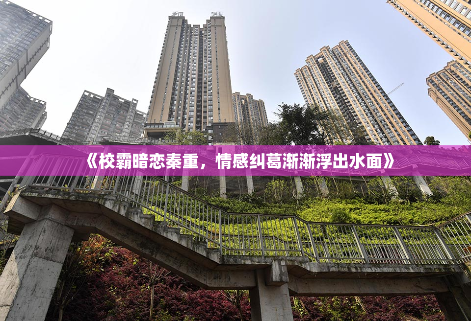 《校霸暗恋秦重，情感纠葛渐渐浮出水面》