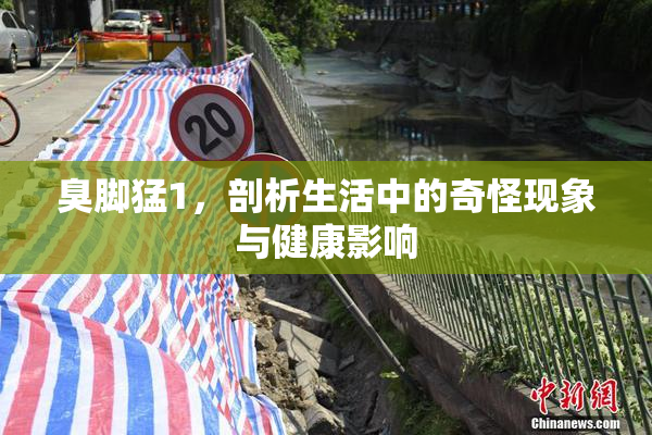 臭脚猛1，剖析生活中的奇怪现象与健康影响