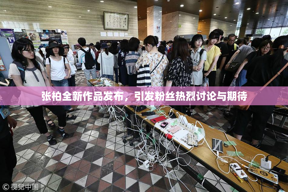 张柏全新作品发布，引发粉丝热烈讨论与期待