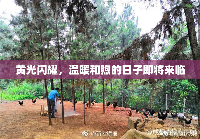 黄光闪耀，温暖和煦的日子即将来临