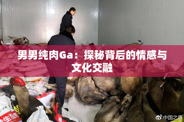 男男纯肉Ga：探秘背后的情感与文化交融