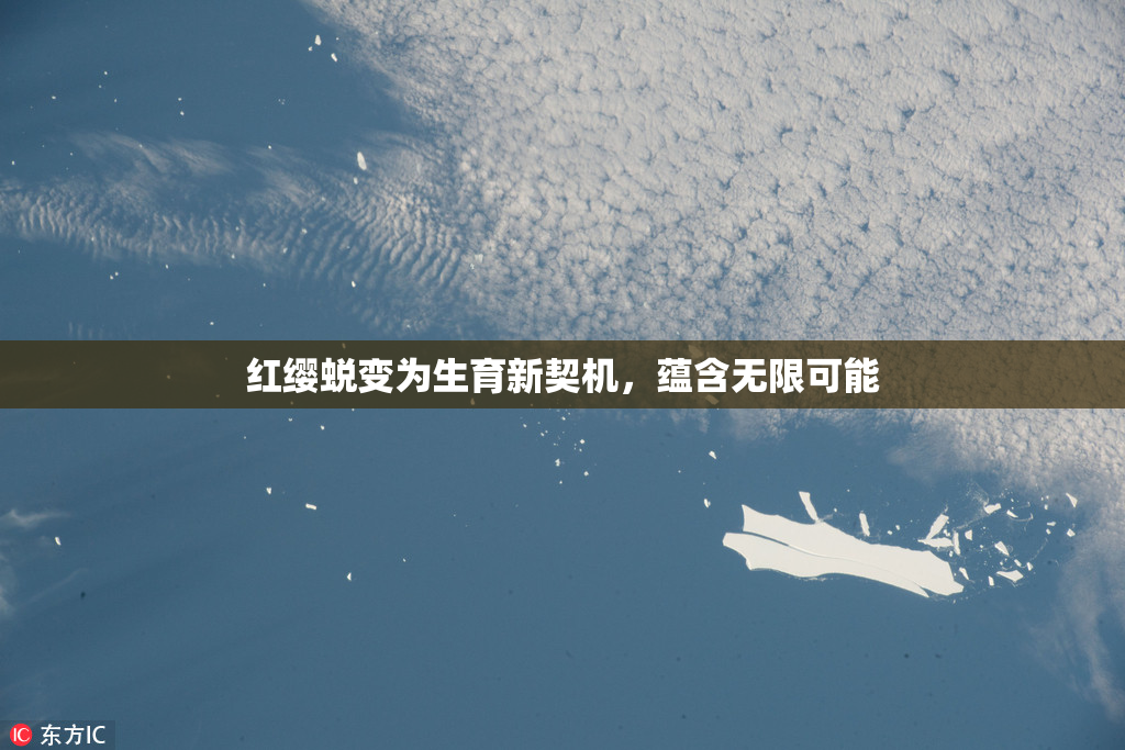 红缨蜕变为生育新契机，蕴含无限可能