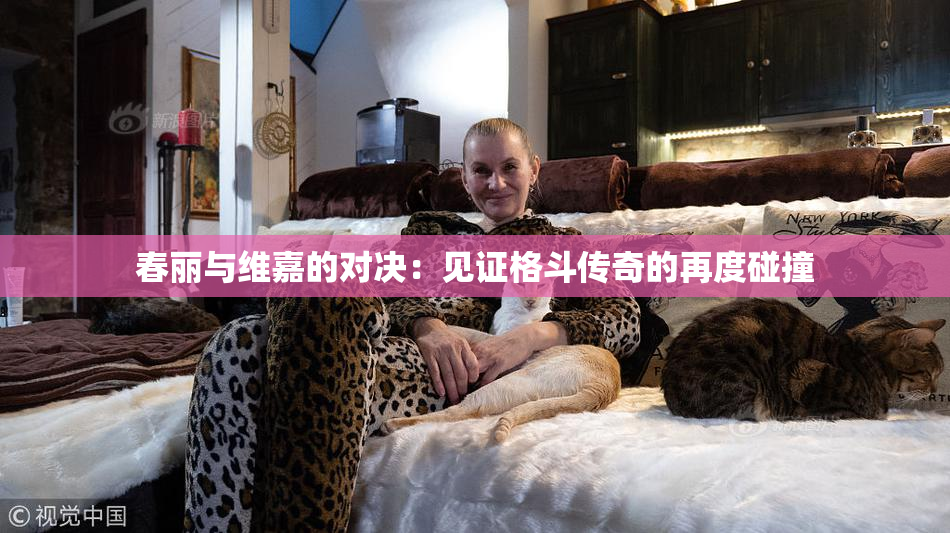 春丽与维嘉的对决：见证格斗传奇的再度碰撞