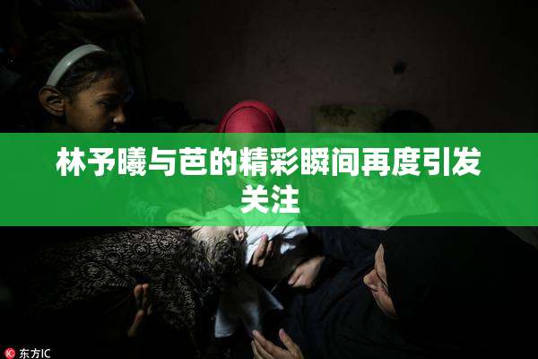 林予曦与芭的精彩瞬间再度引发关注