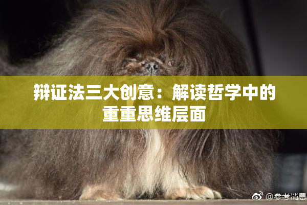 辩证法三大创意：解读哲学中的重重思维层面