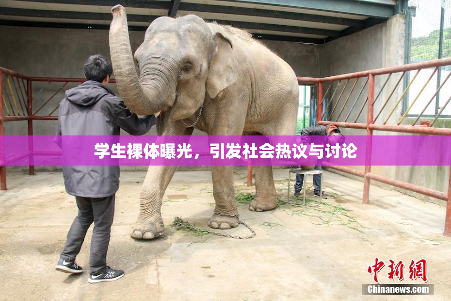 学生裸体曝光，引发社会热议与讨论