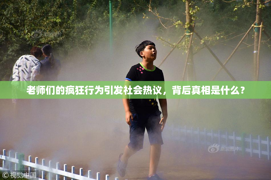 老师们的疯狂行为引发社会热议，背后真相是什么？