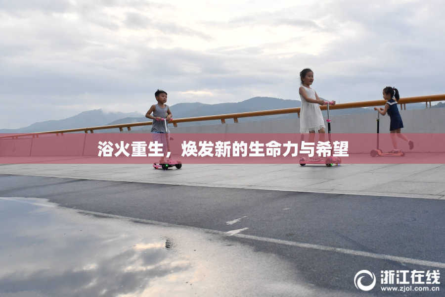 浴火重生，焕发新的生命力与希望