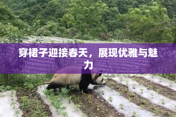 穿裙子迎接春天，展现优雅与魅力