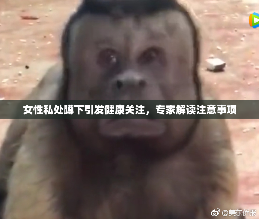 女性私处蹲下引发健康关注，专家解读注意事项