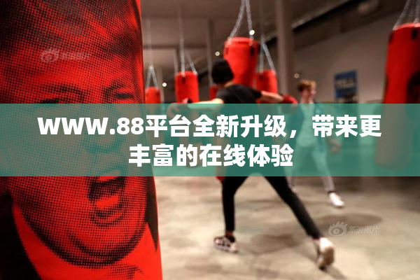 WWW.88平台全新升级，带来更丰富的在线体验