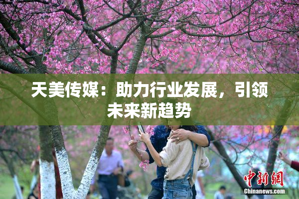 天美传媒：助力行业发展，引领未来新趋势