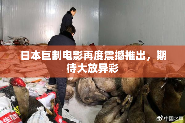 日本巨制电影再度震撼推出，期待大放异彩