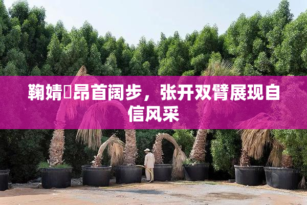 鞠婧祎昂首阔步，张开双臂展现自信风采