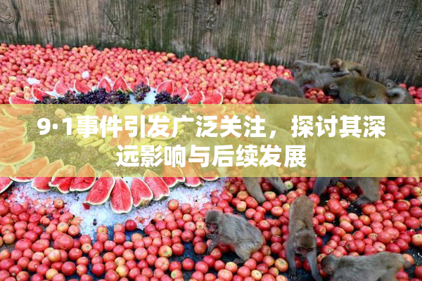 9·1事件引发广泛关注，探讨其深远影响与后续发展