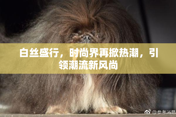白丝盛行，时尚界再掀热潮，引领潮流新风尚