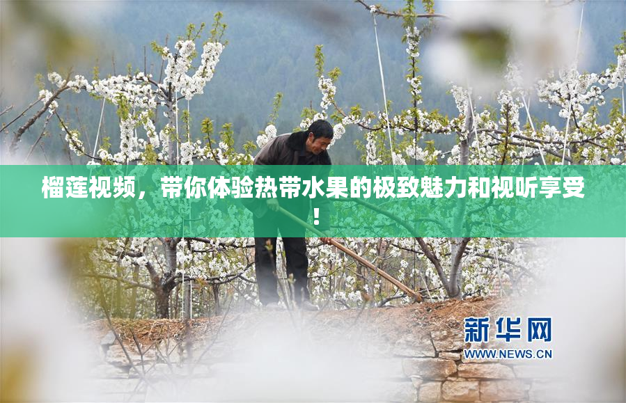榴莲视频，带你体验热带水果的极致魅力和视听享受！