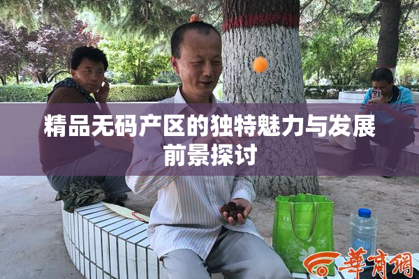 精品无码产区的独特魅力与发展前景探讨