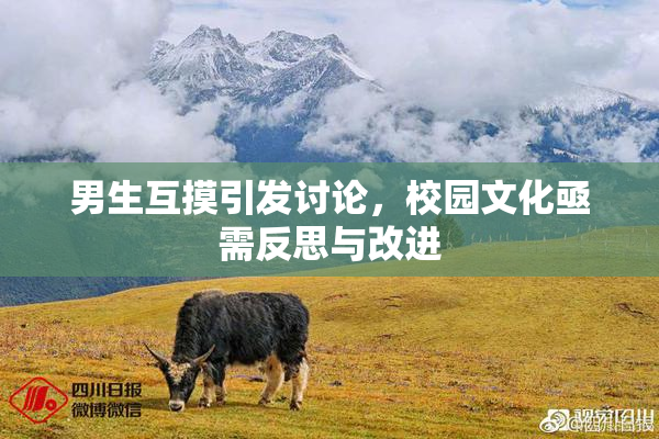 男生互摸引发讨论，校园文化亟需反思与改进