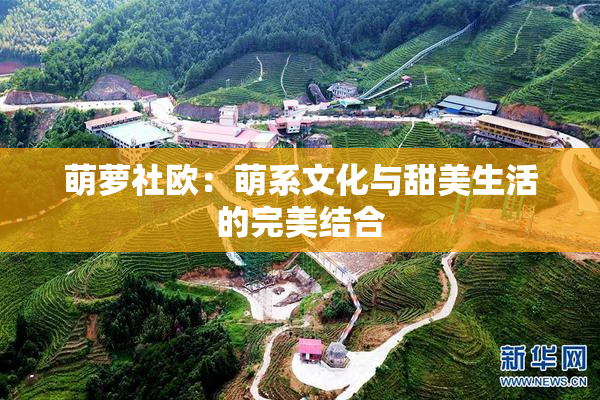 萌萝社欧：萌系文化与甜美生活的完美结合