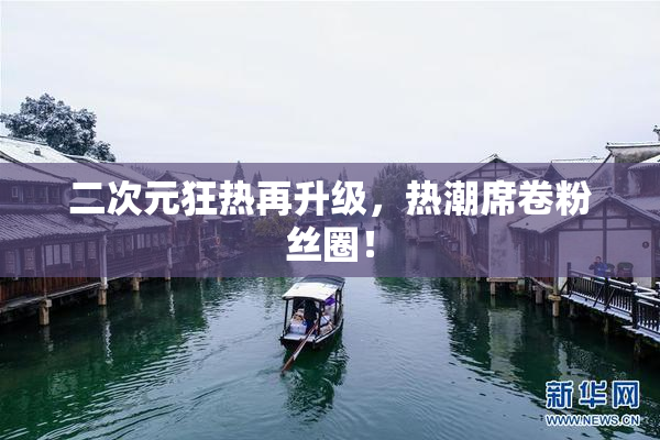 二次元狂热再升级，热潮席卷粉丝圈！