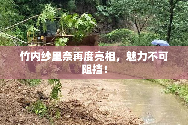 竹内纱里奈再度亮相，魅力不可阻挡！