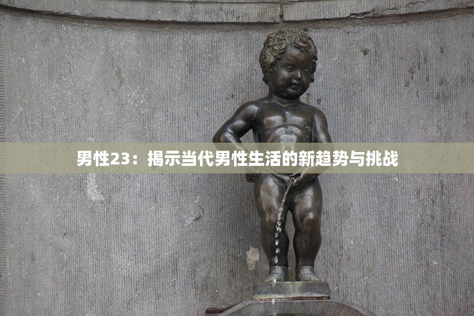 男性23：揭示当代男性生活的新趋势与挑战