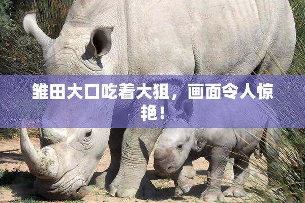 雏田大口吃着大狙，画面令人惊艳！