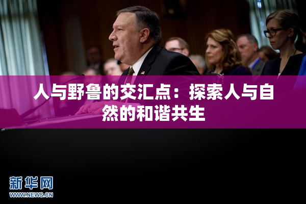 人与野鲁的交汇点：探索人与自然的和谐共生