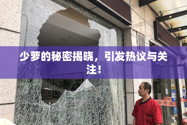 少萝的秘密揭晓，引发热议与关注！