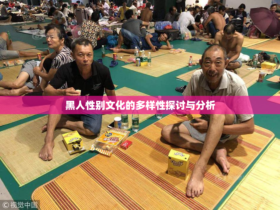 黑人性别文化的多样性探讨与分析
