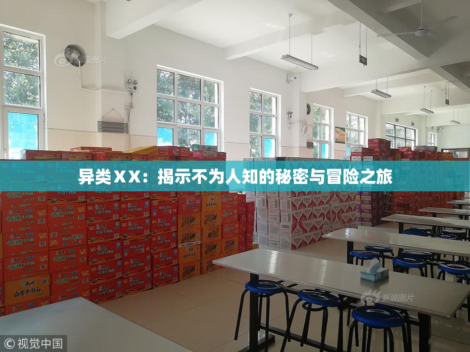 异类ⅩX：揭示不为人知的秘密与冒险之旅