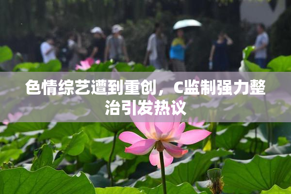 色情综艺遭到重创，C监制强力整治引发热议