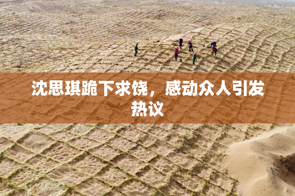 沈思琪跪下求饶，感动众人引发热议