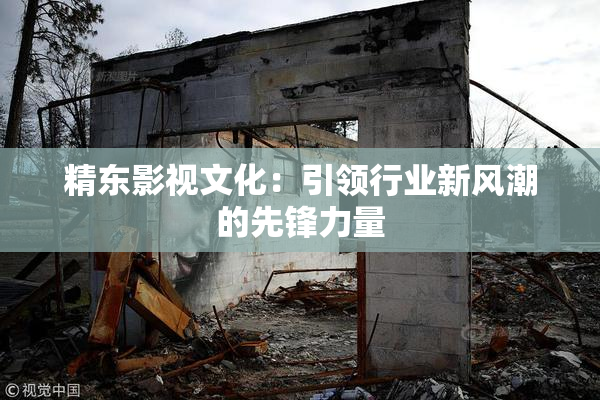 精东影视文化：引领行业新风潮的先锋力量