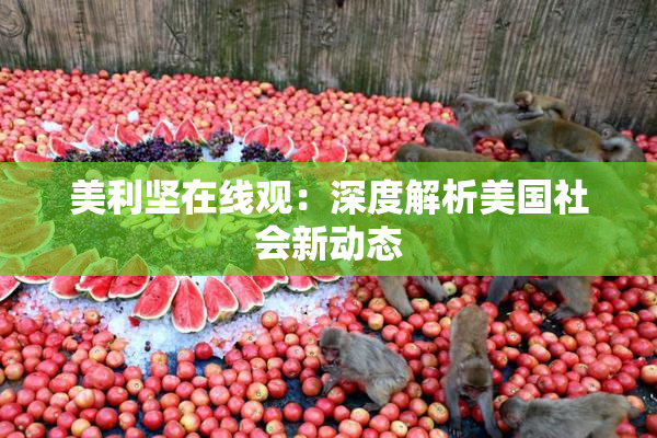美利坚在线观：深度解析美国社会新动态